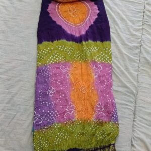 Collections Gaji Multi Gada Saree